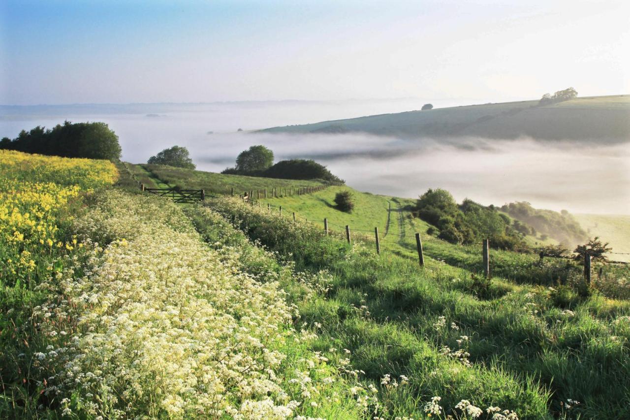 Отель The Queen'S Head At Broad Chalke Экстерьер фото