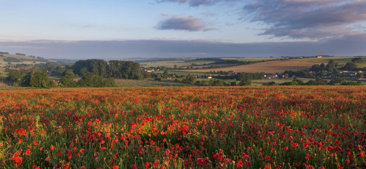 Отель The Queen'S Head At Broad Chalke Экстерьер фото